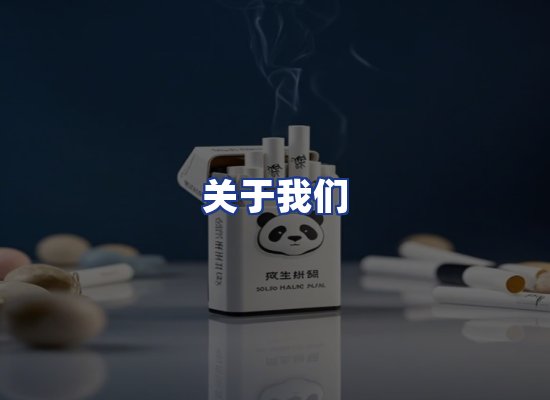 专业团队
